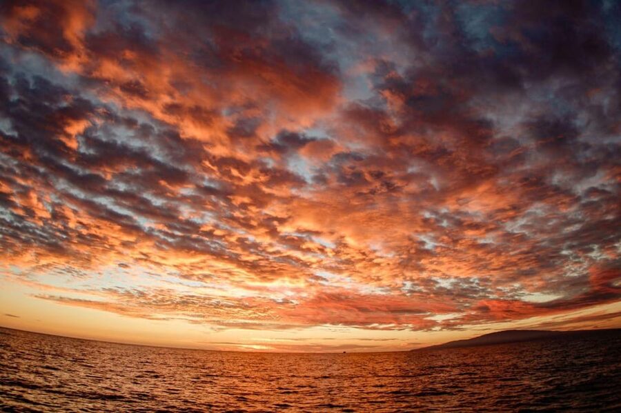 Maui: Luxury Catamaran Alii Kai Royal Sunset Dinner Cruise - Practical details to settle before booking