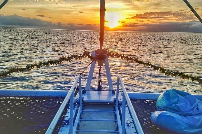 Maui Premium Sunset Dinner Cruise from Ka’anapali Beach - The beach boarding is the main practical warning