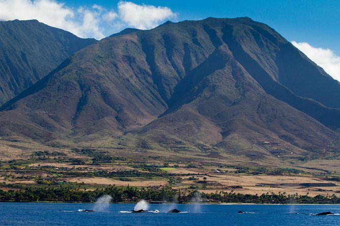 Maui Premium Sunset Dinner Cruise & Whale Watch - Out on the Pacific with McGregor Point in view