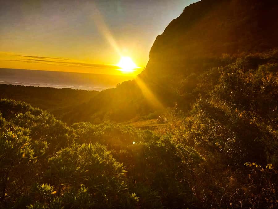 Mauritius: Exclusive Le Morne Sunset Hike & Aperitivo - Key points to know before booking