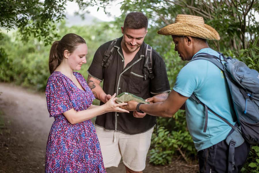 Mauritius: Exclusive Le Morne Sunset Hike & Aperitivo - Sunset, proposals, and personal moments