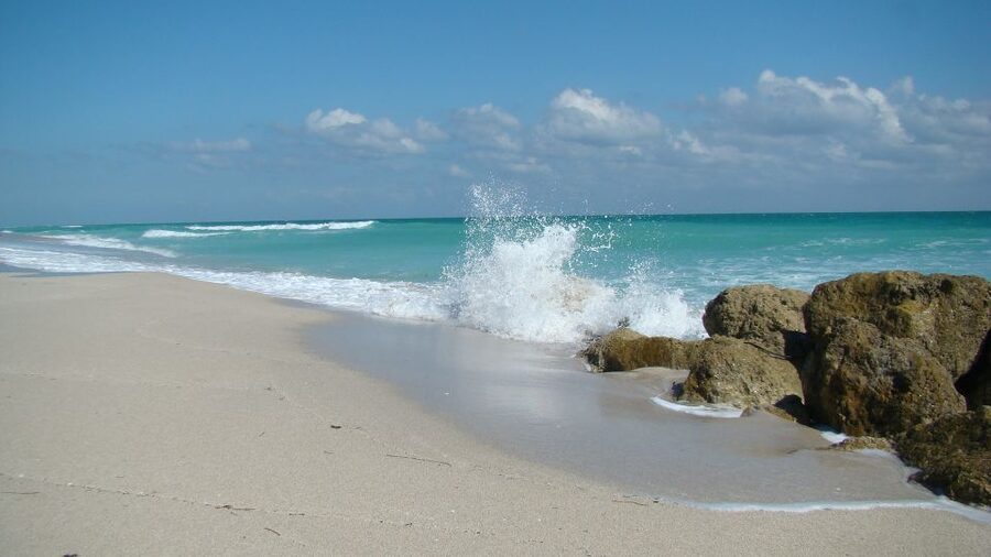 Miami: Beach Wedding or Renewal of Vows - The value of the $399 group price