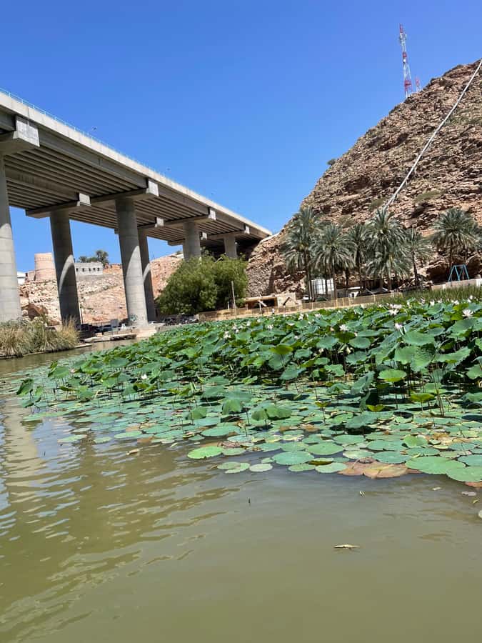 Muscat: Wadi Shab, Romantic Cave and Sinkhole Full-day Trip - Who should book, and who should skip it
