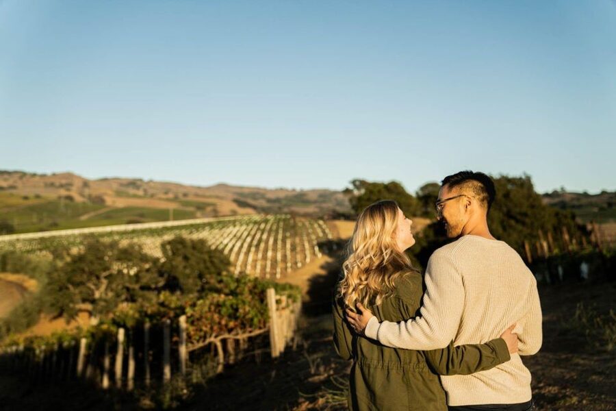Napa & Sonoma Valley: Special Marriage Proposal Experience - Pickup from Napa or Sonoma keeps the plan private