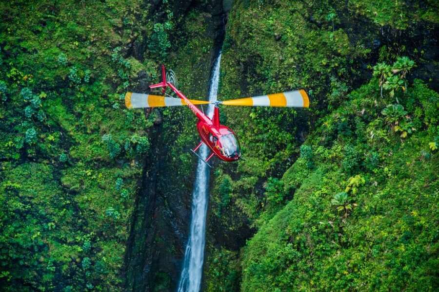 Oahu: Exclusive Private Romantic Flight - Dole Plantation, Pearl Harbor, and the USS Arizona Memorial