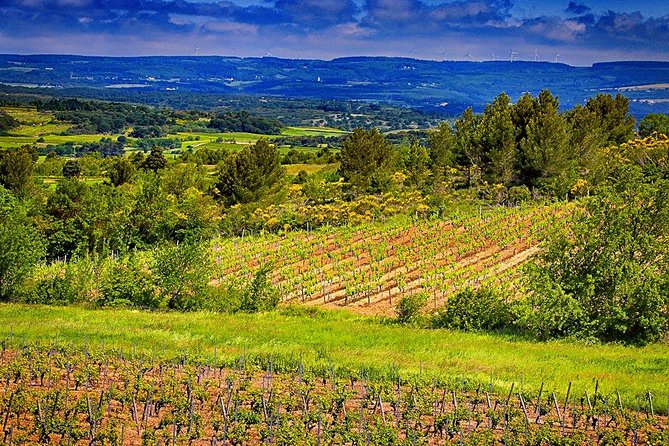 One Night Stay, Wine Tour, Wine and Dine for Two guests - Meeting Joe and Liz at 4:00 pm