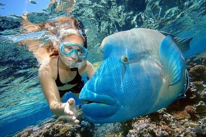 Orange Bay Island 2 Snorkeling Stops Water Sports Romantic Escape - The $10 price and the costs that can change the calculation