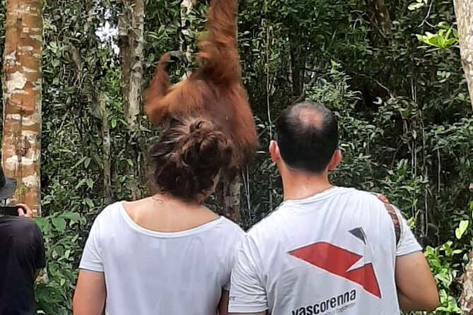 Orangutan Tanjung Puting Honeymoon CoupleTour - Why this Borneo boat trip works
