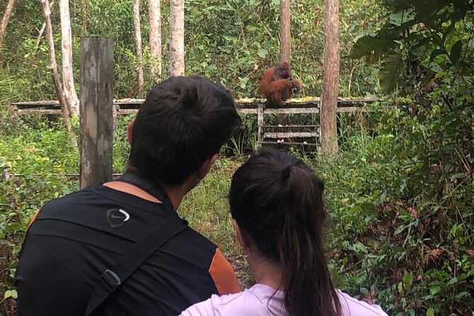 Orangutan Tanjung Puting Honeymoon CoupleTour - Pondok Tanggui and the first orangutan stop