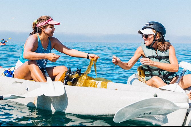 Original La Jolla Sea Cave Kayak Tour for Two - What the 90-minute La Jolla kayak tour is really like