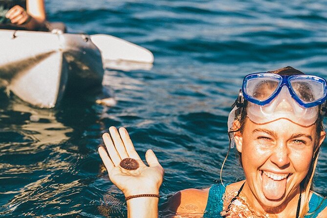 Original La Jolla Sea Cave Kayak Tour for Two - How the guides affect the day