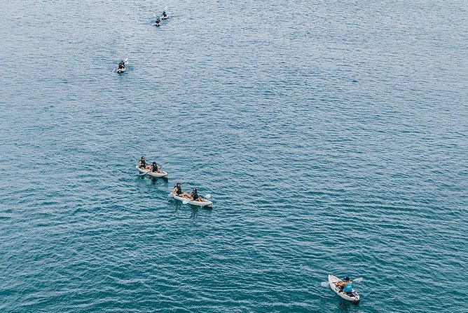 Original La Jolla Sea Cave Kayak Tour for Two - Who will enjoy this most?