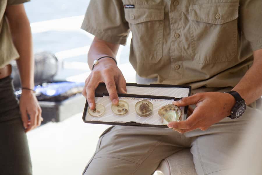Oyster & Pearl Lovers Tour - The family story behind Broken Bay Pearl Farm