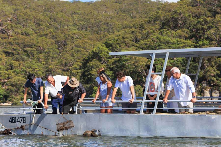 Oyster & Pearl Lovers Tour - Cruising the lower Hawkesbury River to an oyster lease