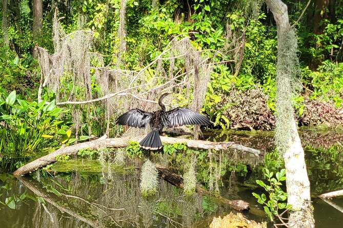 Paddle to Brunch Adventure on the Dora Canal - Key points to know before you go