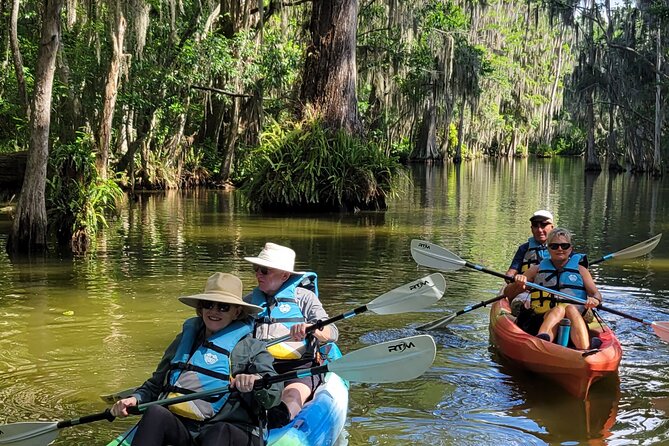 Paddle to Brunch Adventure on the Dora Canal - Kayak or paddleboard: which should you choose?