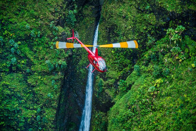 Private 45 Minute Helicopter Tour with Romantic Landing - Is $3,240 good value for three people?