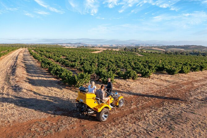 Private Barossa's Best Sightseeing Tour for Two - Why the yellow trike is the real attraction
