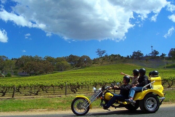 Private Barossa's Best Sightseeing Tour for Two - Seppeltsfield brings a short walk and a different feel