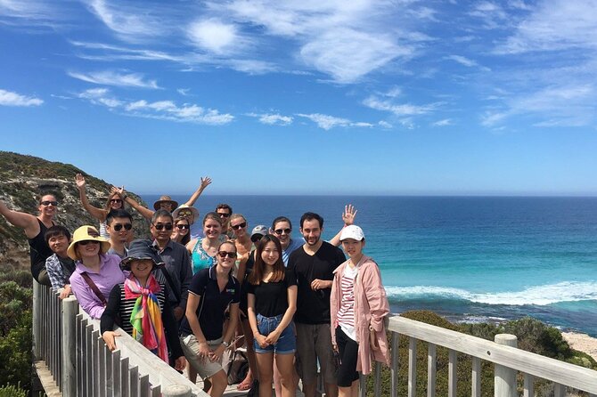 Private Barossa's Best Sightseeing Tour for Two - The 90-minute schedule is useful, but fast