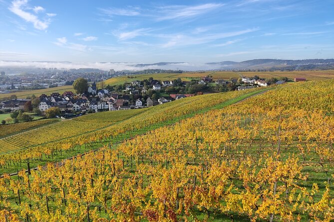 Private day trip to the Romantic Rhine Valley with river cruise and wine tasting - Schloss Johannisberg and the story of late-harvest Riesling