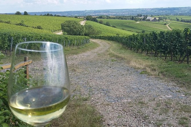 Private day trip to the Romantic Rhine Valley with river cruise and wine tasting - Rüdesheim offers lunch, Drosselgasse, and the start of the cruise