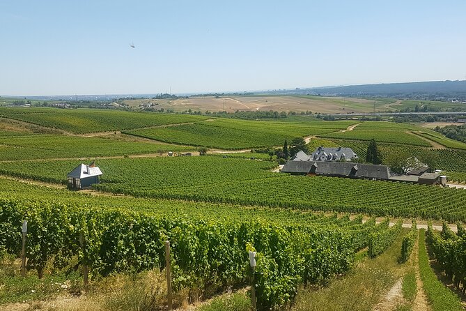 Private day trip to the Romantic Rhine Valley with river cruise and wine tasting - Burg Rheinfels shows the Rhine at its most fortified