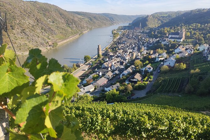 Private day trip to the Romantic Rhine Valley with river cruise and wine tasting - Oberwesel adds the cellar and the main wine tasting