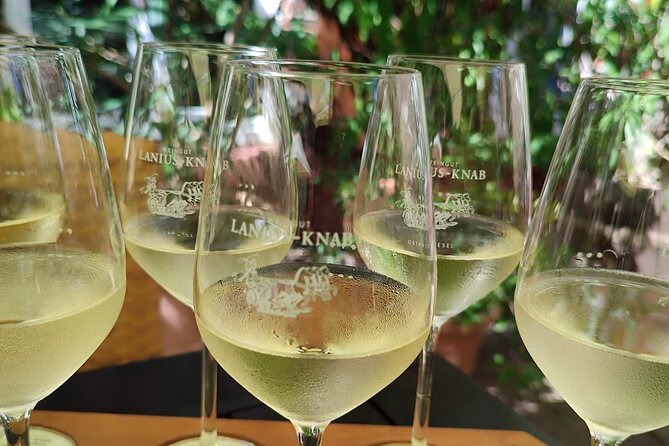 Private day trip to the Romantic Rhine Valley with river cruise and wine tasting - Kloster Eberbach brings the first taste of Rheingau wine