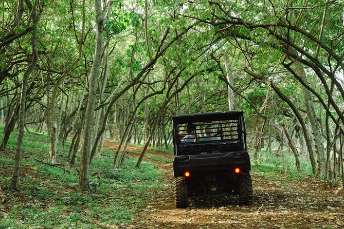 Private Off-Road Sunset Dinner - How much value does $257 per person offer?