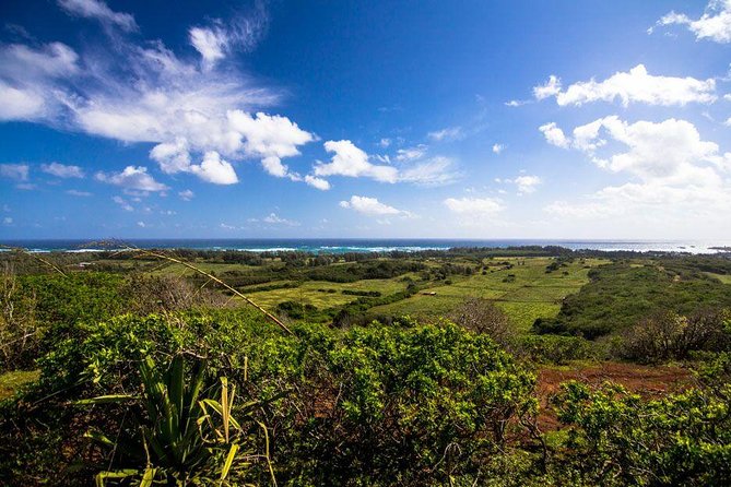 Private Sunset Dinner Horseback Ride - Key points to know before booking