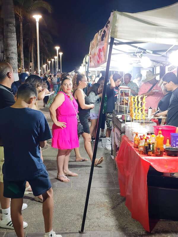 Puerto Vallarta: Malecon and Romantic Zone Nightlife Tour - From the Main Square to the Rio Cuale