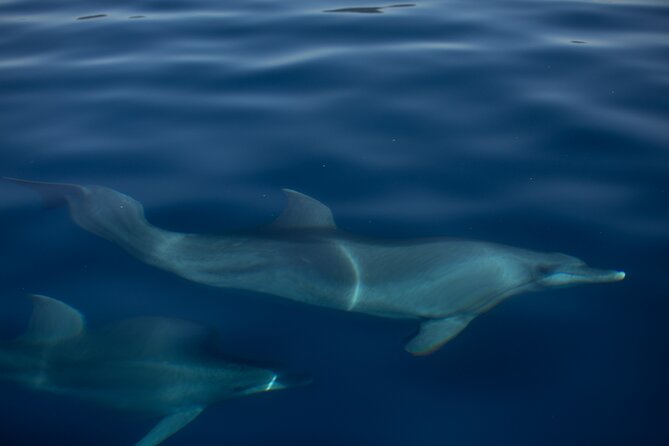 Pula Sunset Cruise: Brijuni Views, Drinks, Romance (Max 6 Guests) - Is $89.50 a fair price?