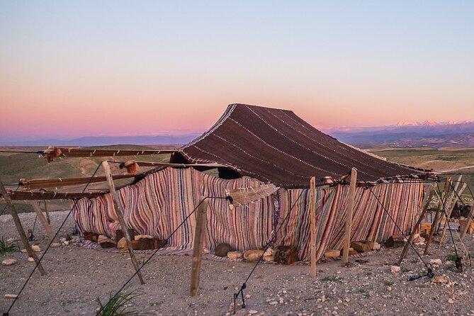 Quads, Camels & Sunset dinner in the Desert with Pick Up - How much value do you get for $46.98?