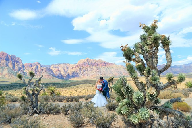 Red Rock Canyon Wedding by Private Limousine - Red cliffs instead of a Las Vegas chapel