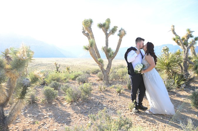 Red Rock Canyon Wedding by Private Limousine - Who will enjoy this wedding most