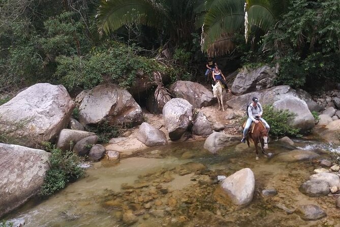 Rey Spearo - Enchanting And Romantic Custom Created Tours - Who will enjoy this Jalisco day