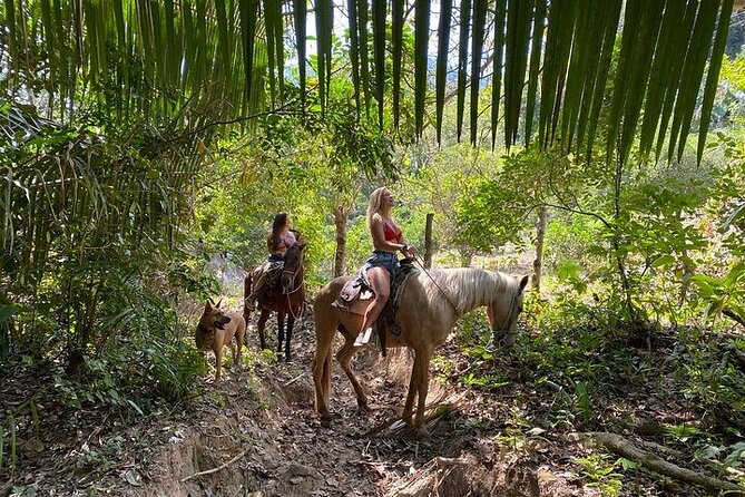Rey Spearo - Enchanting And Romantic Custom Created Tours - The first one-hour ride through jungle vegetation