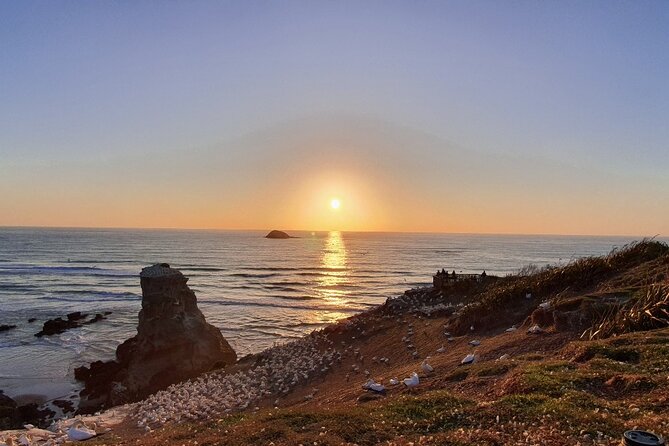 Romantic Auckland Sunset tour with Winery & Thermal pool - Key points at a glance
