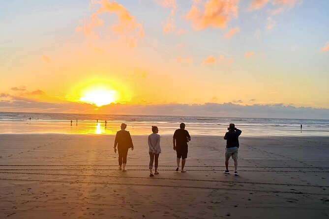 Romantic Auckland Sunset tour with Winery & Thermal pool - Should you book it?