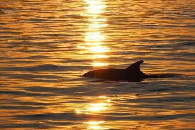 Romantic Boat Trip with Dolphin Watching - Group size and the feel on board