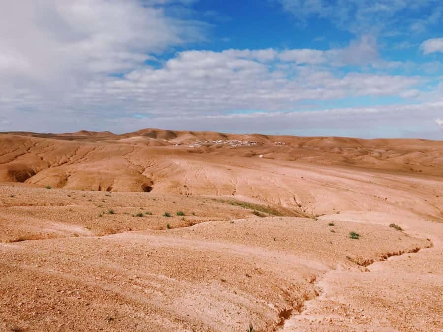 Romantic Dinner & Camel Ride In Agafay Desert - What arrives on the dinner table