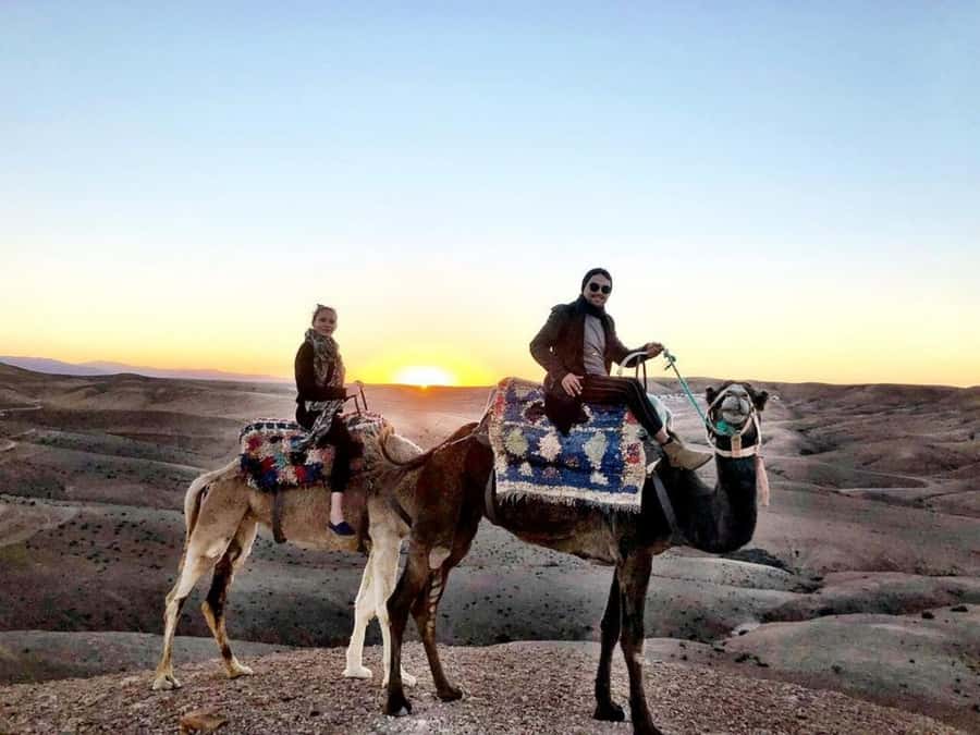 Romantic Dinner & Camel Ride In Agafay Desert - Campfire entertainment and the night sky