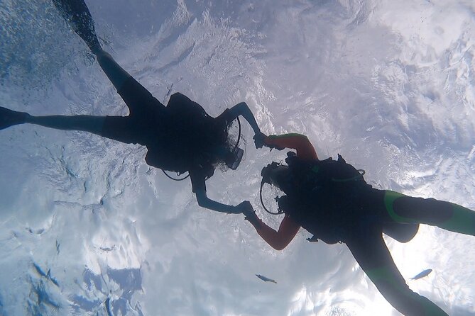 Romantic Dive for beginners in Bora Bora (2 people) with Video - Seeing Bora Bora beneath the surface