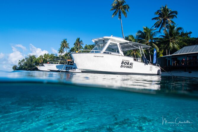 Romantic Dive for beginners in Bora Bora (2 people) with Video - Is $491.54 a fair price for two?