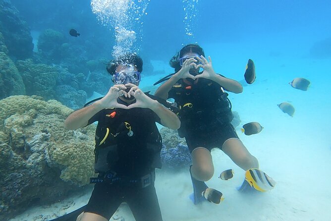 Romantic Dive for beginners in Bora Bora (2 people) with Video - Meeting at Eleuthera Bora Center on Matira Beach