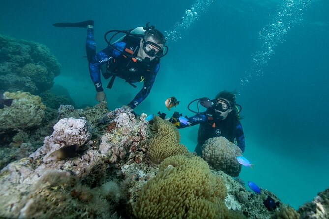 Romantic dive in the lagoon of Bora Bora. Private instructor on a shared boat - A romantic reason to go underwater in Bora Bora