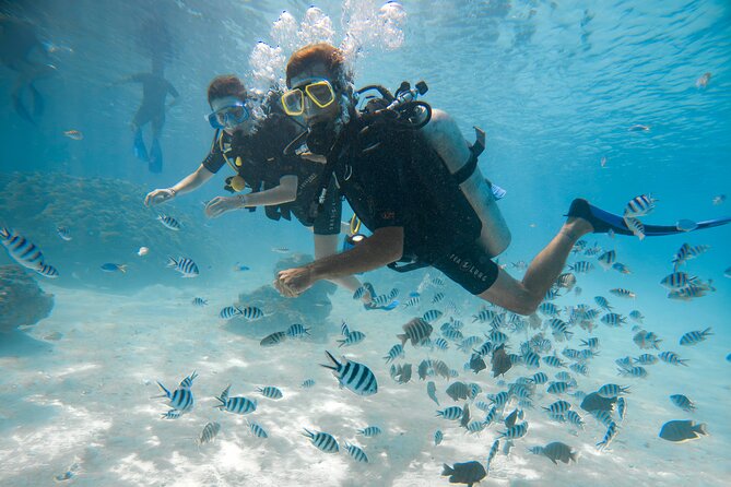 Romantic dive in the lagoon of Bora Bora. Private instructor on a shared boat - Is $479 good value for two hours?