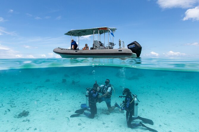 Romantic dive in the lagoon of Bora Bora. Private instructor on a shared boat - How the private instruction helps nervous beginners