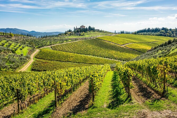 Romantic Escape in Tuscany - Overnight and Wine Tasting - The Hotel Torciano overnight stay